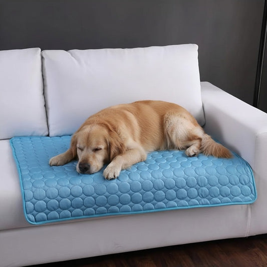 Alfombrilla Refrescante para tu mascota 🐶
